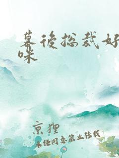 幕后总裁好孕妈咪