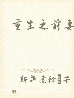 重生之前妻之惑