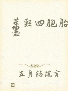 叶熙四胞胎厉子墨