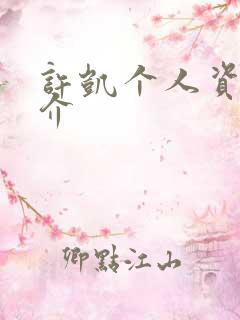 许凯个人资料简介