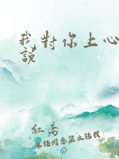 我对你上心了小说