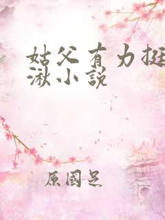 姑父有力挺送徐湫小说