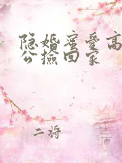 隐婚蜜爱高冷老公捡回家