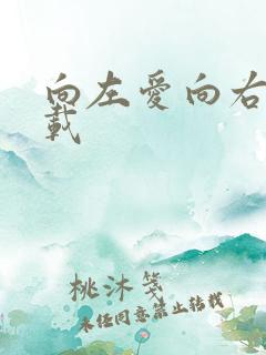 向左爱向右爱下载