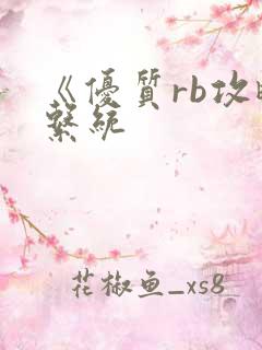 《优质rb攻略系统