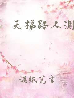 天梯路人测试器