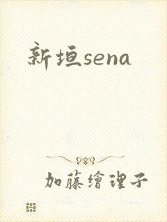 新垣sena