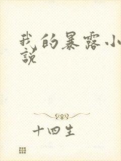我的暴露小说小说