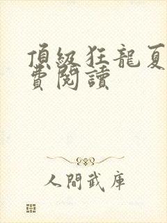 顶级狂龙夏天免费阅读