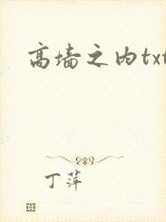 高墙之内txt