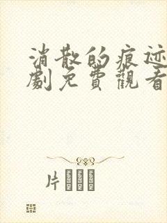 消散的痕迹电视剧免费观看完整版