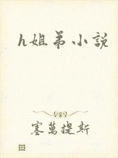 h姐弟小说
