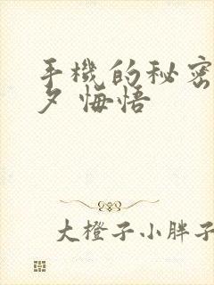 手机的秘密 七夕 悔悟