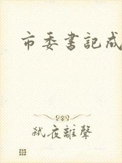 市委书记成长记