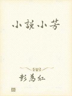 小说小芳