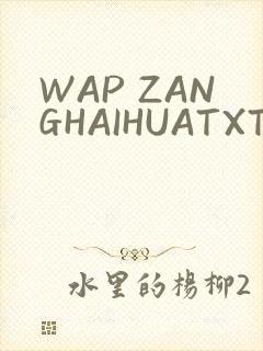 WAP ZANGHAIHUATXT