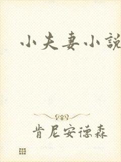 小夫妻小说