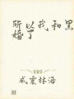 所以我和黑粉结婚了