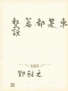 整篇都是车的小说