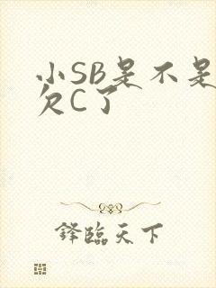 小SB是不是又欠C了