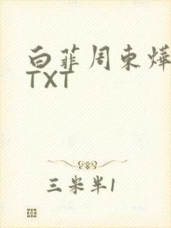 白菲周东烨小说TXT