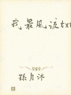 我最风流txt