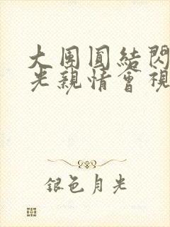 大团圆结闪闪发光亲情会视频