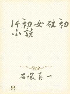 14初女破初的小说