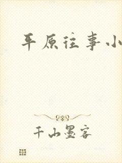 平原往事小说