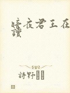 暗夜君王在线阅读