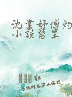 沈书妤傅灼抖音小说医生