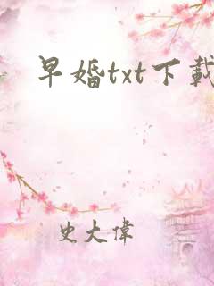 早婚txt下载
