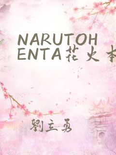 NARUTOHENTA花火本子