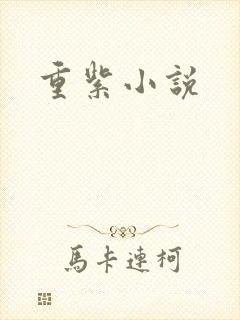 重紫小说