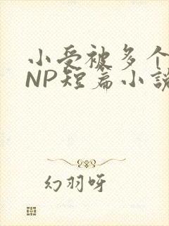 小受被多个攻强NP短篇小说