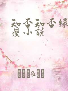 知否知否绿肥红瘦小说