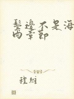 鬓边不是海棠红肉章节