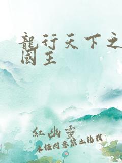 龙行天下之真假国主