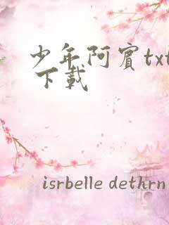 少年阿宾txt 下载