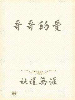 哥哥的爱