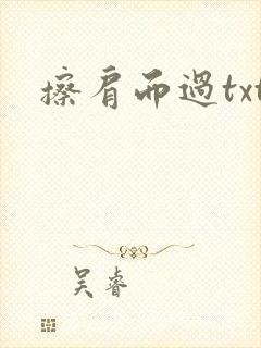 擦肩而过txt