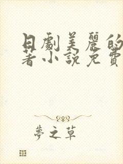 日剧美丽的他原著小说免费阅读