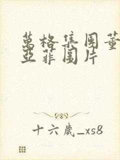 万格集团董事李亚菲图片