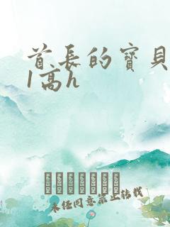 首长的宝贝1v1高h