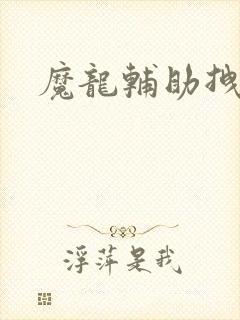 魔龙辅助拽拽
