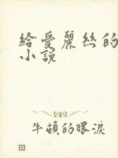 给爱丽丝的奇迹小说