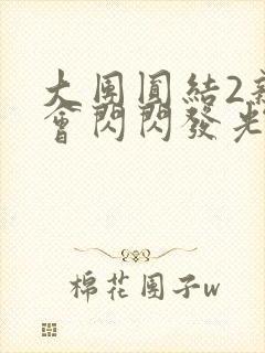 大团圆结2亲情会闪闪发光