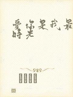 爱你是我最好的时光