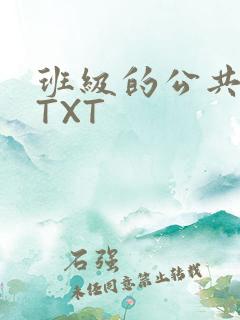 班级的公共玩具TXT