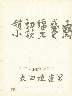 赵初绵盛西舫的小说免费阅读